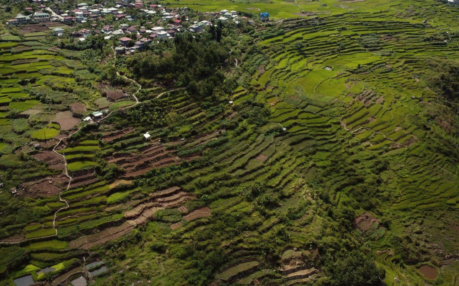 Terraces from above